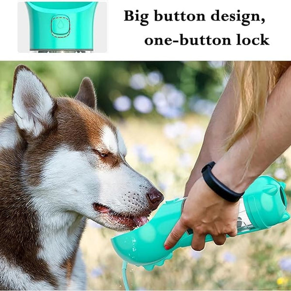 Pets Feeding Bowl